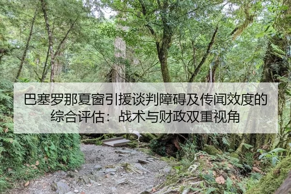 巴塞罗那夏窗引援谈判障碍及传闻效度的综合评估：战术与财政双重视角