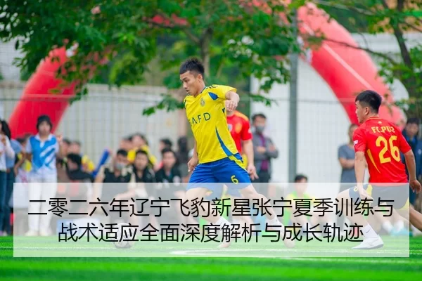 er-ling-er-liu-nian-liao-ning-fei-bao-xin-xing-zhang-ning-xia-ji-xun-lian-yu-zhan-shu-shi-ying-quan-mian-shen-du-jie-xi-2-451.jpg