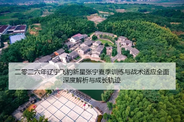 二零二六年辽宁飞豹新星张宁夏季训练与战术适应全面深度解析与成长轨迹
